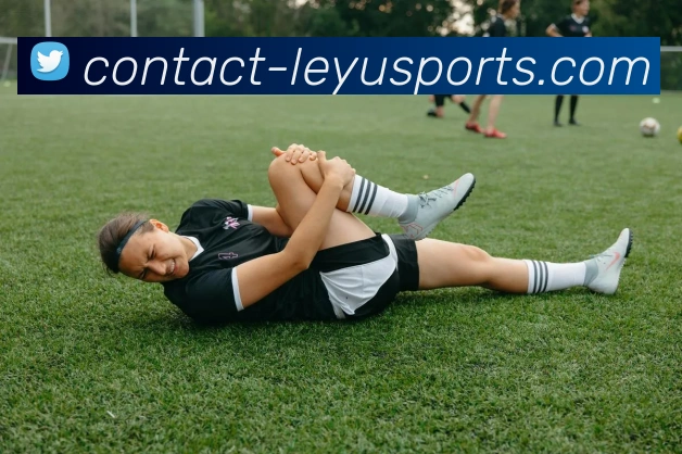 乐鱼体育APP 封面图